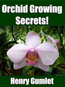 Download Orchid Growing Secrets! pdf, epub, ebook