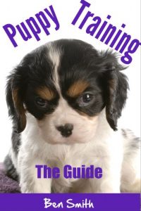 Download Puppy: Puppy Training: – Puppy Training Guide pdf, epub, ebook