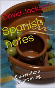 Download Spanish notes pdf, epub, ebook