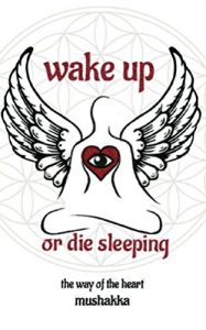 Download Wake Up or Die Sleeping: The Way of the Heart pdf, epub, ebook