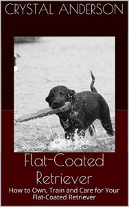 Download Flat-Coated Retriever: How to Own, Train and Care for Your Flat-Coated Retriever pdf, epub, ebook