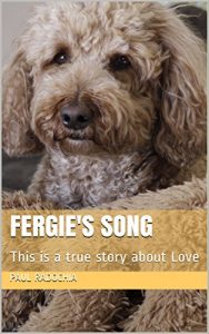 Download Fergie’s Song: This is a true story about Love pdf, epub, ebook