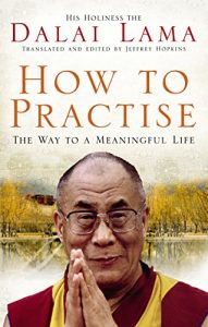 Download How To Practise: The Way to a Meaningful Life pdf, epub, ebook