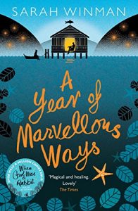 Download A Year of Marvellous Ways pdf, epub, ebook