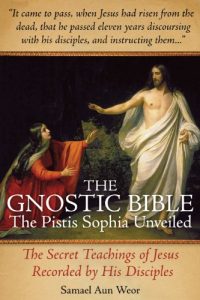 Download The Gnostic Bible: The Pistis Sophia Unveiled pdf, epub, ebook