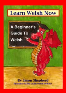 Download Learn Welsh Now: A Beginner’s Guide to Welsh pdf, epub, ebook