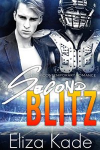 Download Second Blitz: M/M Gay For You Sports Romance pdf, epub, ebook