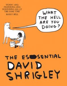 Download What The Hell Are You Doing?: The Essential David Shrigley: The Essential David Shrigley pdf, epub, ebook