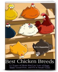 Download Best Chicken Breeds: 12 Types of Hens that Lay Lots of Eggs, Make Good Pets, and Fit in Small Yards (Booklet) pdf, epub, ebook