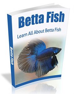 Download Betta Fish: Learn All About The Amazing Betta Fish pdf, epub, ebook