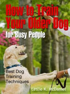 Download How to Train Your Older Dog  for Busy People : Best Dog Training Techniques – Buy it Now! pdf, epub, ebook