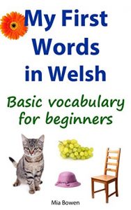 Download My First Words in Welsh: Basic vocabulary for beginners (Learn Welsh Book 1) pdf, epub, ebook