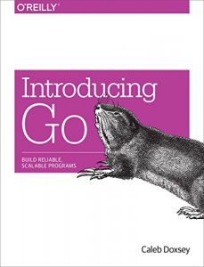 Download Introducing Go: Build Reliable, Scalable Programs pdf, epub, ebook