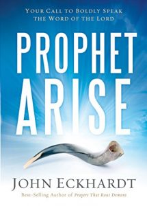 Download Prophet, Arise: Your Call to Boldly Speak the Word of the Lord pdf, epub, ebook