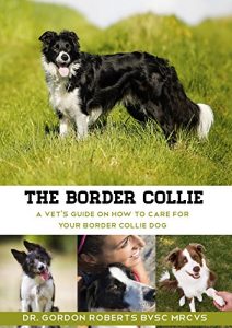 Download The Border Collie: A vet’s guide on how to care for your Border Collie dog pdf, epub, ebook