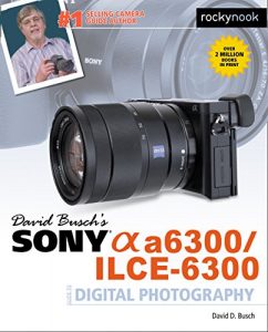 Download David Busch’s Sony Alpha a6300/ILCE-6300 Guide to Digital Photography pdf, epub, ebook