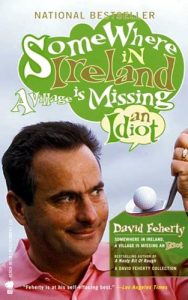 Download Somewhere in Ireland, A Village Is Missing an Idiot pdf, epub, ebook