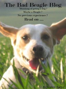 Download The Bad Beagle Blog pdf, epub, ebook