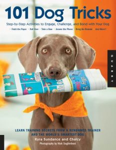 Download 101 Dog Tricks: Step by Step Activities to Engage, Challenge, and Bond with Your Dog: Step-by-step Activities to Engage, Challenge, and Bond with Your Dog pdf, epub, ebook