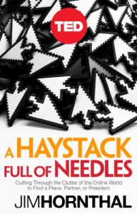 Download A Haystack Full of Needles: Cutting Through the Clutter of the Online World to Find a Place, Partner or President (Kindle Single) (TED Books) pdf, epub, ebook