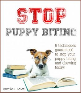 Download Stop Puppy Biting pdf, epub, ebook