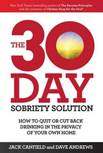 Download The 30-Day Sobriety Solution: How to Cut Back or Quit Drinking in the Privacy of Your Home pdf, epub, ebook