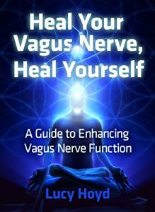 Download HEAL YOUR VAGUS NERVE, HEAL YOURSELF: A Guide to Enhancing Vagus Nerve Function pdf, epub, ebook