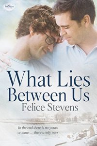 Download What Lies Between Us (The Breakfast Club Book 4) pdf, epub, ebook