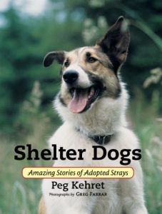 Download Shelter Dogs: Amazing Stories of Adopted Strays pdf, epub, ebook