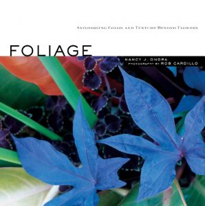 Download Foliage: Astonishing Color and Texture Beyond Flowers pdf, epub, ebook