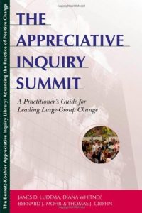 Download The Appreciative Inquiry Summit: A Practitioner’s Guide for Leading Large-Group Change pdf, epub, ebook