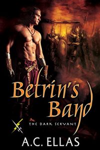 Download Betrin’s Band (The Dark Servant Book 31) pdf, epub, ebook