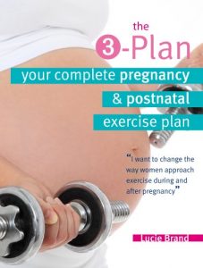 Download The 3-Plan: Your Complete Pregnancy and Postnatal Exercise Plan pdf, epub, ebook