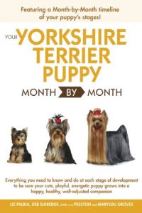 Download Your Yorkshire Terrier Puppy Month By Month pdf, epub, ebook