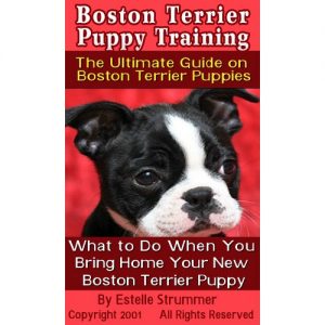 Download Boston Terrier Puppy Training: The Ultimate Guide on Boston Terrier Puppies, What to Do When You Bring Home Your New Boston Terrier Puppy pdf, epub, ebook