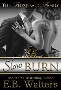 Download Slow Burn (The Fitzgerald Family Book 1) pdf, epub, ebook