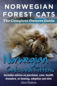 Download Norwegian Forest Cats  The Complete Owners Guide Norwegian Cats and Kittens: Includes advice on purchase, care, health, breeders, re-homing, adoption and diet. pdf, epub, ebook