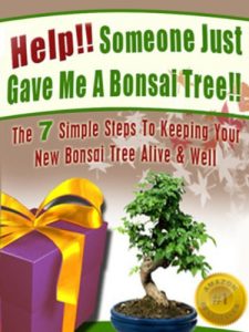 Download Help! Someone Just Gave Me A Bonsai Tree! The 7 Simple Steps To Keeping Your New Bonsai Tree Alive & Well (Bonsai For Beginners Book 1) pdf, epub, ebook