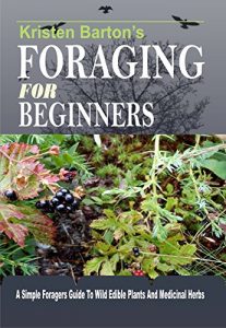 Download Foraging For Beginners: A Simple Foragers Guide To Wild Edible Plants And Medicinal Herbs pdf, epub, ebook