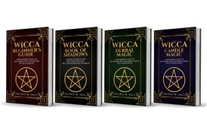 Download Wicca: Wicca for Beginner’s, Book of Shadows, Candle Magic, Herbal Magic (Wicca Books, Wicca Spells, Wicca Symbols 4) pdf, epub, ebook