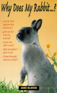 Download Why Does My Rabbit…? pdf, epub, ebook