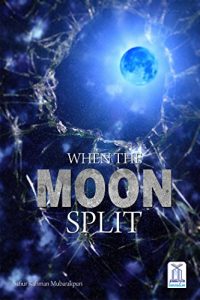 Download When The Moon Split pdf, epub, ebook