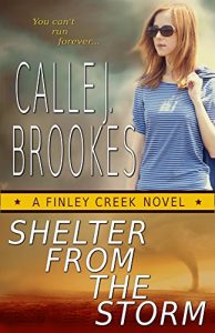 Download Shelter from the Storm (Finley Creek Book 2) pdf, epub, ebook