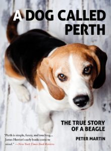 Download A Dog Called Perth: The True Story of a Beagle pdf, epub, ebook