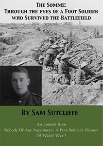 Download The Somme: Through The Eyes Of A Foot Soldier Who Survived The Battlefield May-September 1916 pdf, epub, ebook