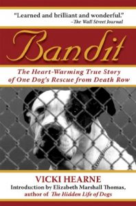 Download Bandit: The Heart-Warming True Story of One Dog’s Rescue from Death Row pdf, epub, ebook