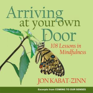 Download Arriving at Your Own Door: 108 Lessons in Mindfulness pdf, epub, ebook