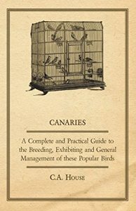 Download Canaries – A Complete and Practical Guide to the Breeding, Exhibiting and General Management of These Popular Birds pdf, epub, ebook