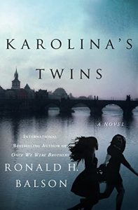 Download Karolina’s Twins: A Novel pdf, epub, ebook