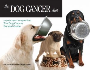 Download The Dog Cancer Diet pdf, epub, ebook